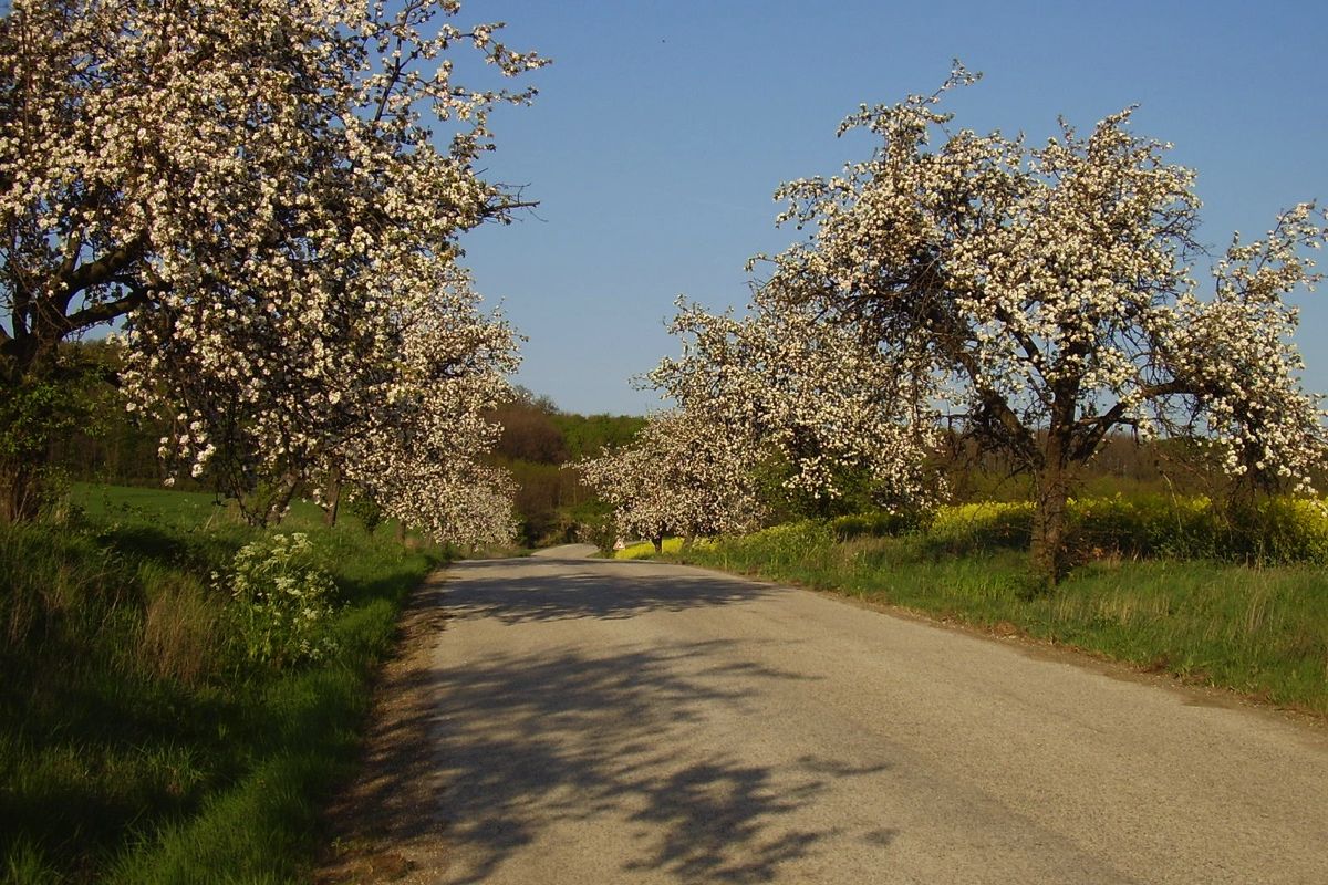 polnohospodarske-druzstvo-09